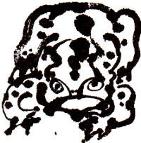 �H�p�K�G��