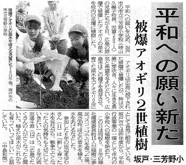 埼玉新聞「被爆アオギリ」の植樹運動の紹介記事掲載